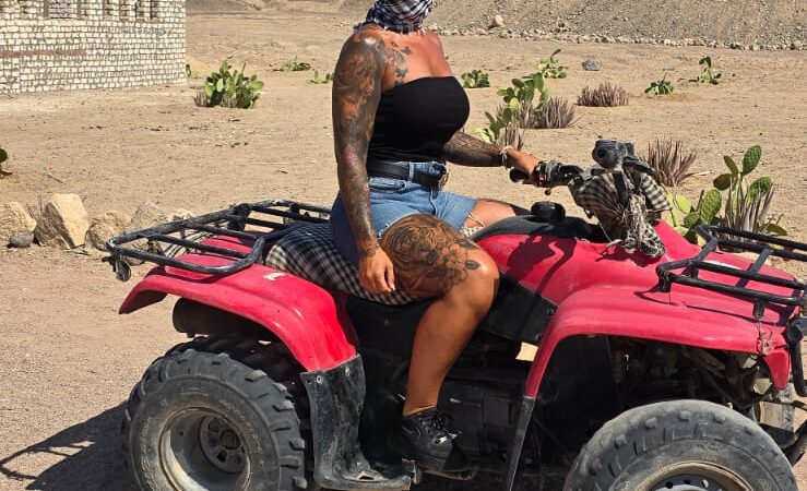 Safari Quad & Spider