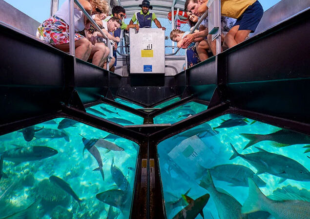 Glass Boat Tour